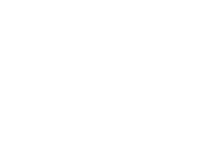 Wire Transfer