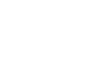 Zota Pay